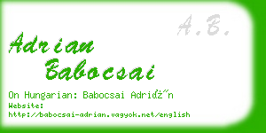 adrian babocsai business card